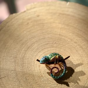 Broche Iguana